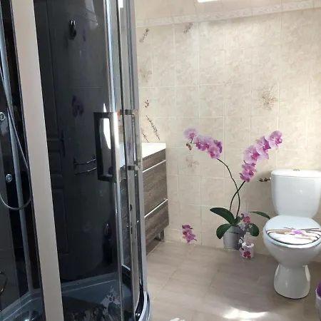 Maison Familiale Pres De Avec Jardin, Jeux Pour Enfants, Wifi Et Animaux Acceptes - Fr-1-616-84